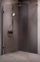 Душевая перегородка Am.Pm X-Joy W94WI-120-F1-MTE 120x195 матовый хром, прозрачное