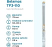 Насос Беламос TF3 -110 TF3-110