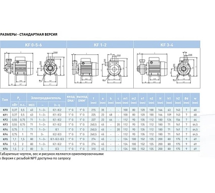 Насос SAER KF 3 230V 100548252