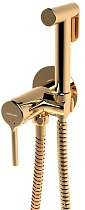 Смеситель Excellent Pi AREX.1204GL с гигиеническим душем, золото