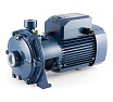 Насос Pedrollo 2 CP 25/ 14 B 452CT2616BA