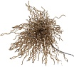 Кордщетка-кисть (16 мм) для дрели Redverg 6623598