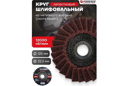 Круг зачистной абразивный (125х22.2 мм; зеленый; max об/мин 12000; мягкий) Forsage 49119 F-FR522C