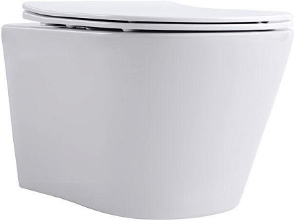 Подвесной унитаз Aquanet Rimless Atago 2.0 W LX-1905 с инсталляцией
