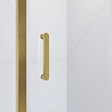 Душевая дверь Niagara Nova NG-43-10AG 100x190 прозрачный, золото