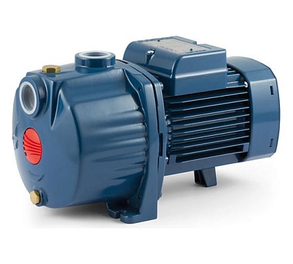 Насос Pedrollo 3 CP 100-C 43CPN284A