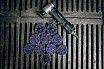 Диск быстросменный на винтовом креплении CD QD-R, D=50 мм, Purple Abraforce AFQDCDR5000PUR
