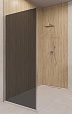 Боковая стенка RGW Z-03 90x195 тонированное, хром 06220309-31