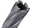 Сверло кольцевое (22х100 мм; TCT; Weldon 19) Euroboor HMX.220