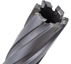 Сверло кольцевое (22х100 мм; TCT; Weldon 19) Euroboor HMX.220