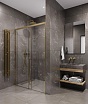 Душевая дверь Timo TDSS-120/17C-8R 120x200 прозрачное, матовое золото