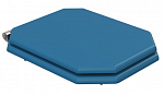 Крышка-сиденье для унитаза Caprigo Tempo KFE-47C-B136 с микролифтом, голубой/хром