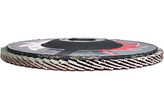 Лепестковые тарельчатые круги прямые FLD-20 D125 мм, P40 R2R 8030-2012540