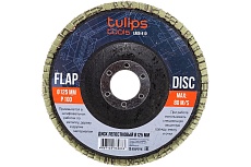 Диск лепестковый (125х22.2 мм; Р100) Tulips Tools EA06-810