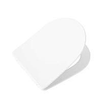 Крышка-сиденье Art&Max Rimini AM204SC с микролифтом