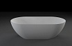 Ванна из искусственного камня Vincea Солид Серфейс (Solid Surface) VBT-4S04MW-1600 белый матовый 160x80 см