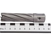 Сверло кольцевое (18х55 мм; TCT; Weldon 19/One-touch) Euroboor HMLU.180