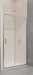 Душевая дверь RGW Passage PA-016 170x195, прозрачное, хром