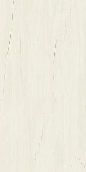 Керамогранит Atlas Concorde Marvel Stone Bianco Dolomite Lappato 60x120 см, A21K