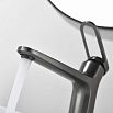 Смеситель для раковины Black&White Gravity GF-7209