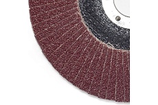 Лепестковые тарельчатые круги FLD-20 D125 мм, P60 R2R 8030-2012560