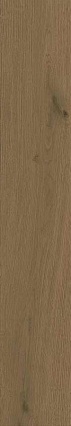 Керамогранит Atlas Concorde Entice Browned Oak Natural 20x120 см, A84Z