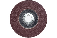 Лепестковые тарельчатые круги (прямые) FLD-20 D125 мм, P80 R2R 8030-2012580