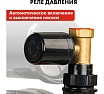 Насосная станция Quattro Elementi Automatico 401 Ci 918-597