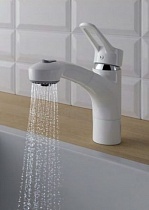 Смеситель для кухни с лейкой Kludi MX 399419262