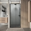 Душевая дверь Niagara Nova 100x195 прозрачное, графит NG-34-10AGR