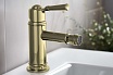 Смеситель для биде Aquatek Классик AQ1518PG полированное золото