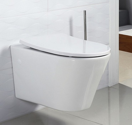 Крышка-сиденье BelBagno BB2031SC с микролифтом