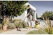Хозяйственный пылесос Karcher WD 5 V-25/5/22 1.628-300.0