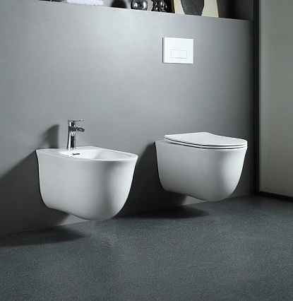 Подвесное биде Aquatek Классик AQ1160-00 белый Подвесное биде Aquatek Классик AQ1160-00 белый