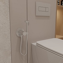 Смеситель Oliveeka Y-Line OL-829909-CR с гигиеническим душем, термостат, хром
