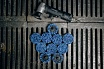 Диск быстросменный на винтовом креплении CD QD-R, D=50 мм, Blue Abraforce AFQDCDR5000BLU