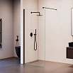 Душевая перегородка RGW Walk In WA-210B 110x195 с крючком для полотенца/халата, черный, прозрачное 351021011-14