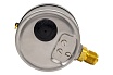 Манометр ДМ 2 100 Р (0-25) бар, кл.1.0, G1/2" BD 1152100011