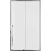 Душевая дверь Allen Brau Fantasy 2.0 120x200 3.11006.00 прозрачная, хром глянцевый