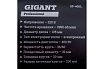 Заточной станок Gigant Professional ZS-40L 400Вт, 2950 об/мин, диаметр круга 200мм GP-400L