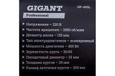 Заточной станок Gigant Professional ZS-40L 400Вт, 2950 об/мин, диаметр круга 200мм GP-400L