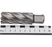 Сверло кольцевое (25х55 мм; HSS; Weldon 19) Euroboor HCL.250