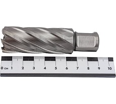 Сверло кольцевое (25х55 мм; HSS; Weldon 19) Euroboor HCL.250