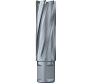 Сверло кольцевое 95х55 мм, TCT, Weldon 32 Euroboor HML.950