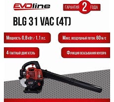 Бензиновый воздуходув с функцией всасывания Evoline BLG31VAC (4T)