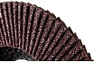 Диск наждачный лепестковый для УШМ (125х22,2 мм; Р60) FIT IT 39553