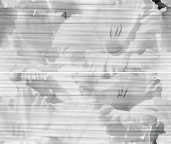 Плитка Gracia Ceramica Celia white панно 50х60 см, 10300000090