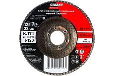 Круг лепестковый Professional 125х22.2 мм, P120, цирконий Gigant GNT-P120