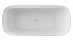 Акриловая ванна Black&White Swan SB335 170x78 белый