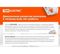 Бур по бетону Рубин (8×210×100 мм, SDS-Plus, 2 резца) TDM ELECTRIC SQ1094-0106